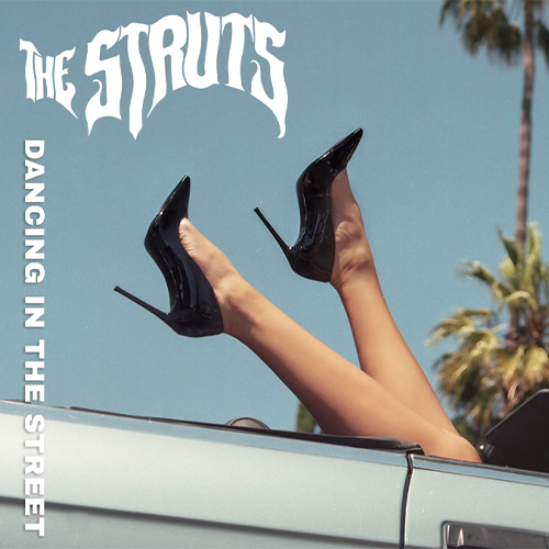 the struts merch